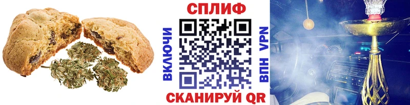 Canna-Cookies марихуана  Новоузенск 