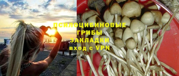 ECSTASY Медвежьегорск